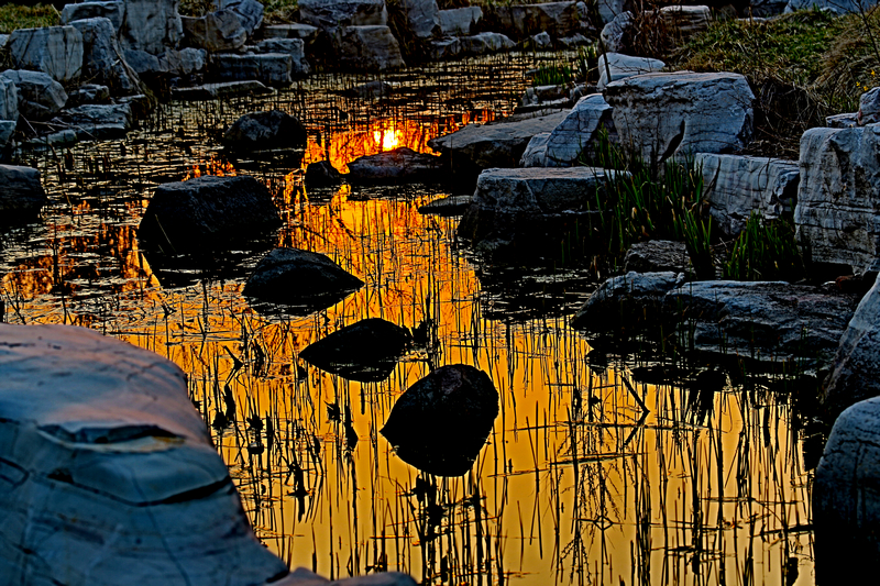 夕阳.jpg