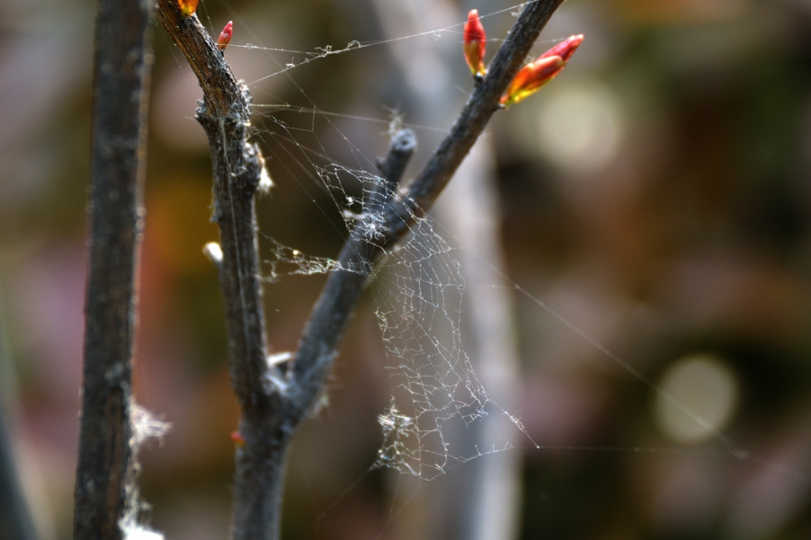 DSC_3511.jpg