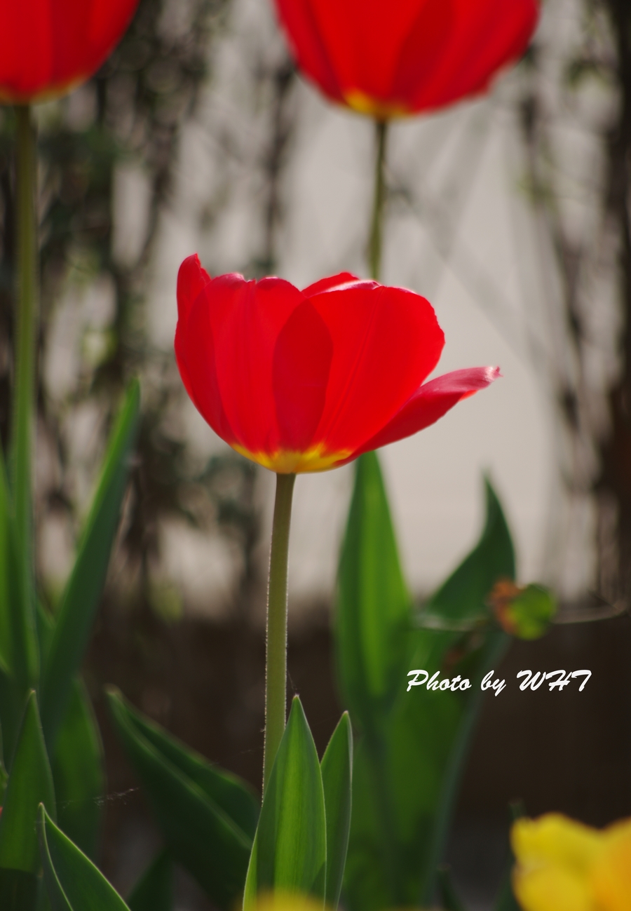 IMGP9103.jpg