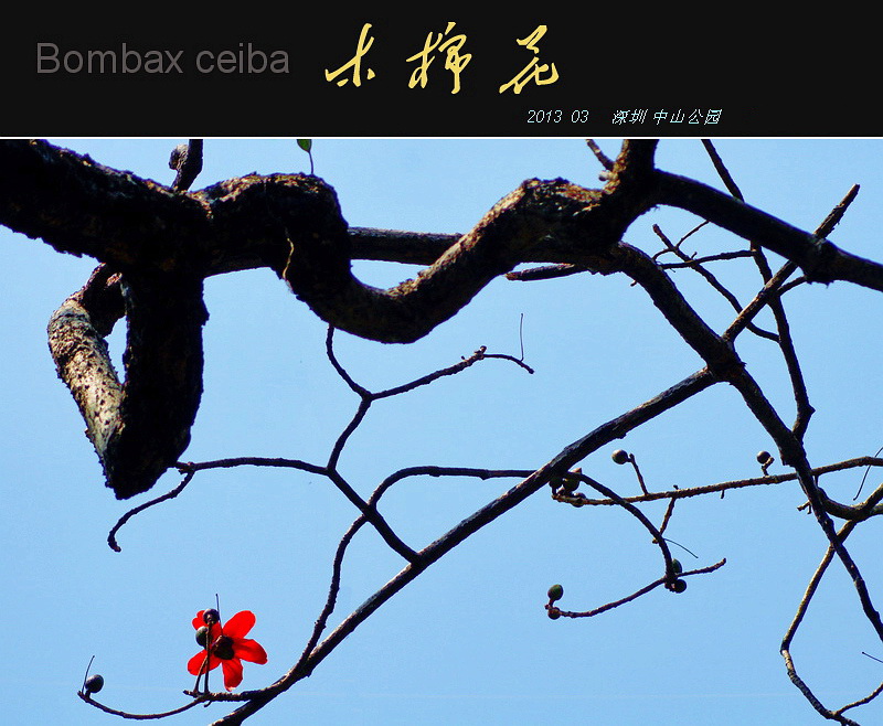 12_副本a.jpg