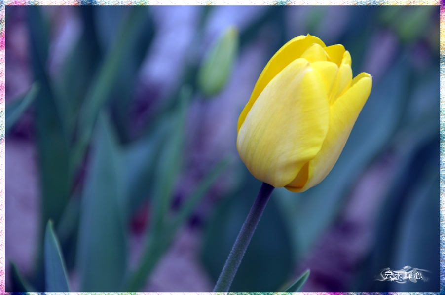 DSC_0010.JPG