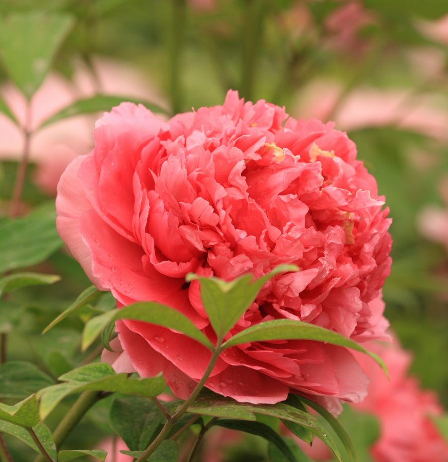 学0035.JPG