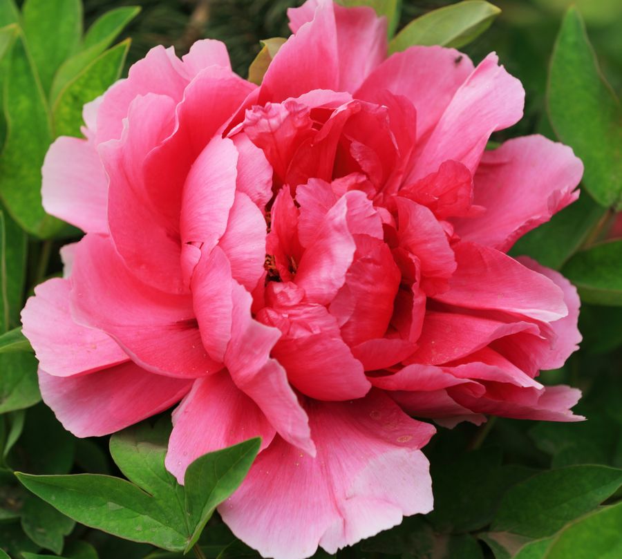 学0107.JPG