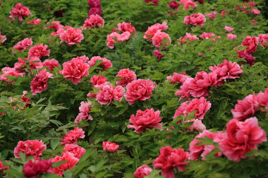 学0112.JPG