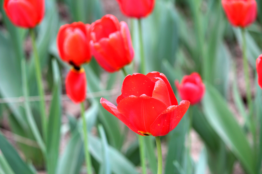IMG_5790.jpg