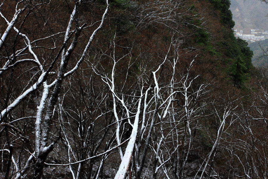 天竺山11.JPG