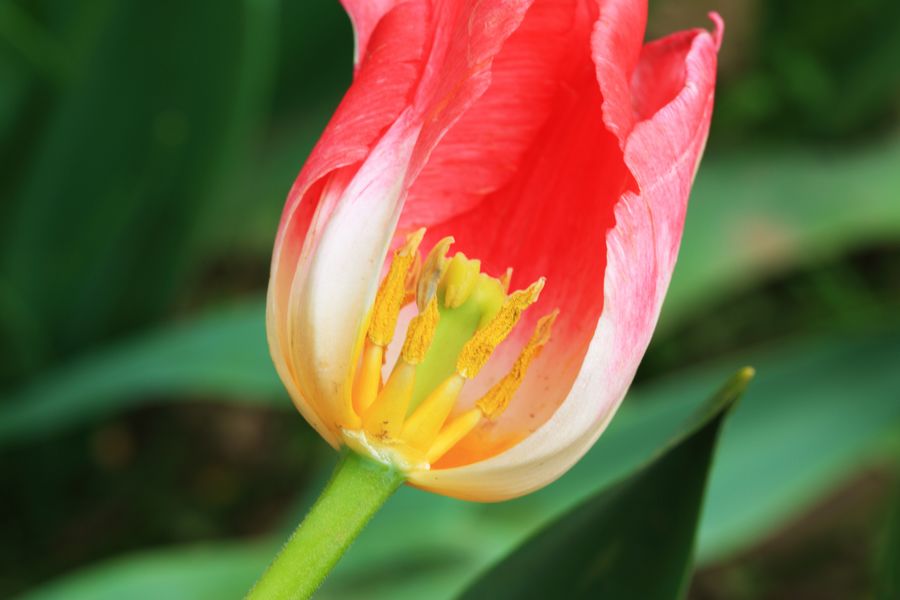 学0078.JPG