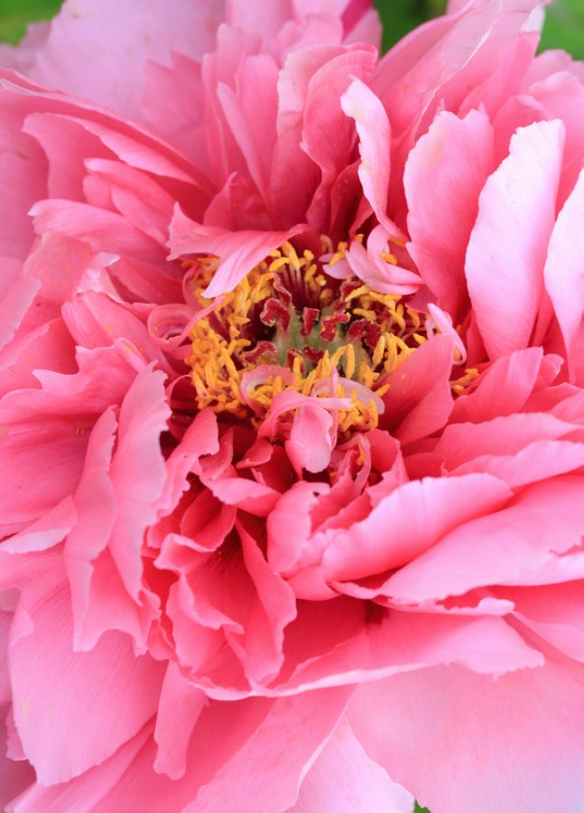 学0131.JPG