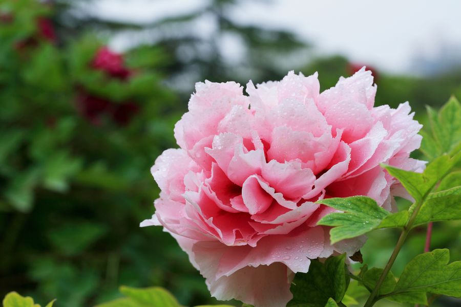 学0139.JPG