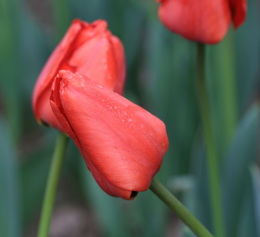 学0166.JPG