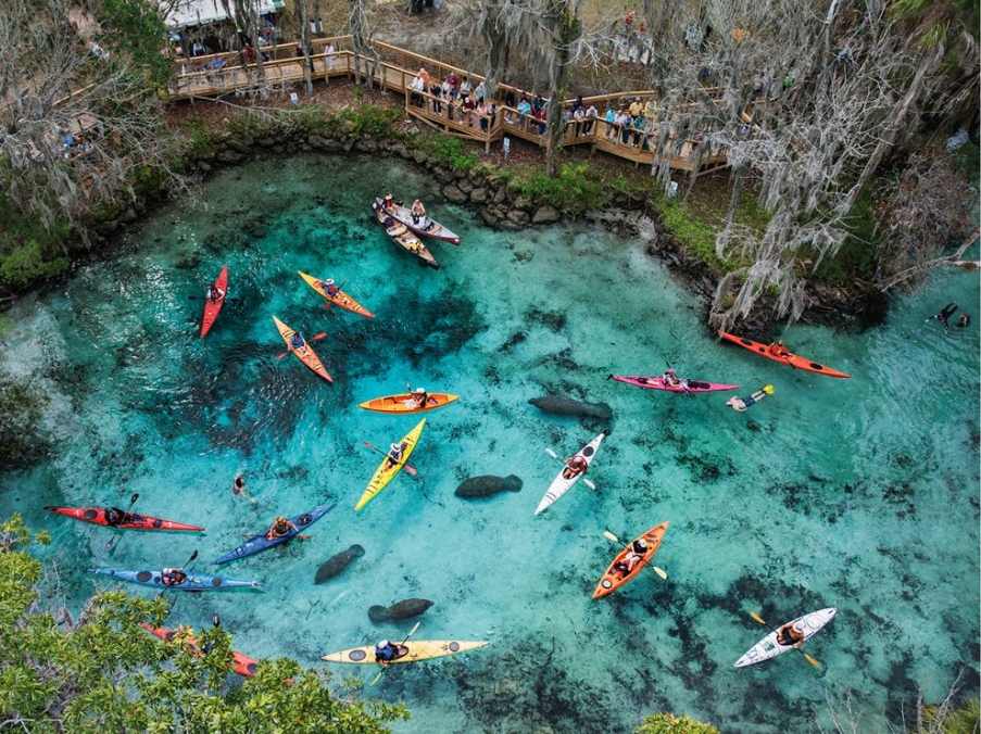 manatees-kayakers-nicklen_65182_990x742.jpg