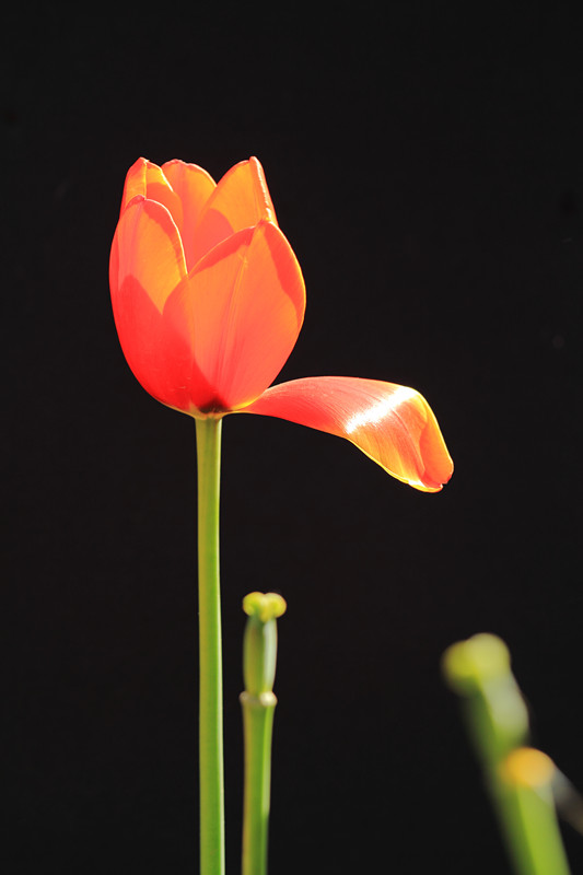 IMG_8016_副本.jpg
