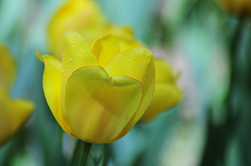 DSC_0028.jpg