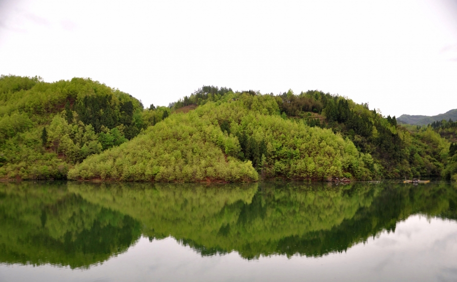 DSC_0267.JPG