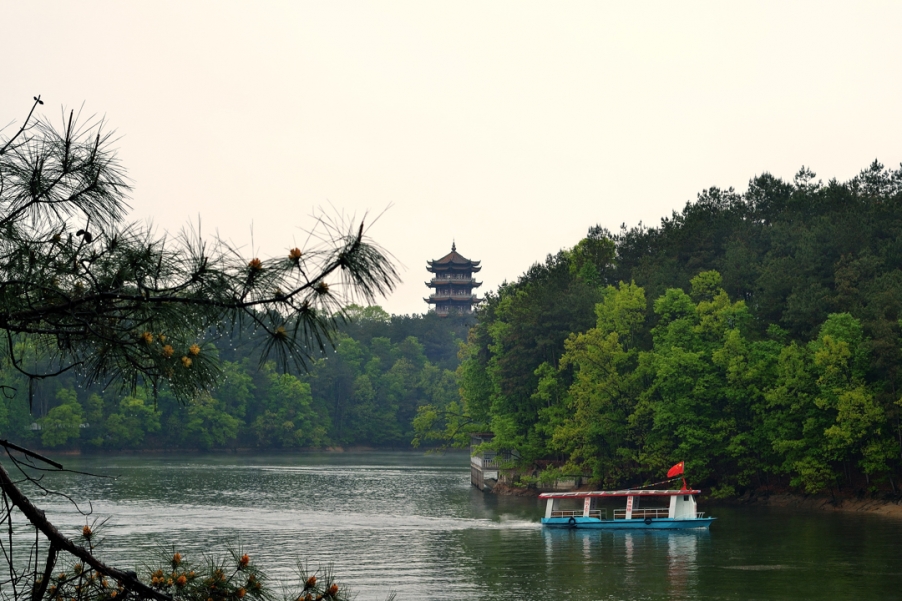 DSC_3772.jpg