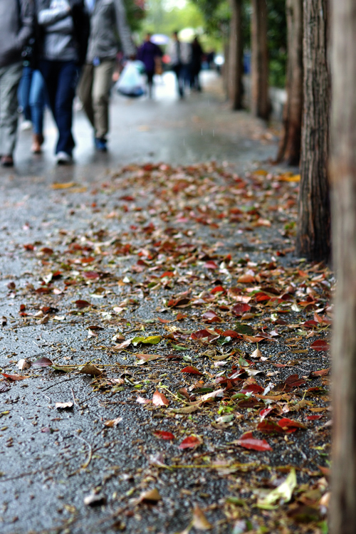 DSC_3775.jpg