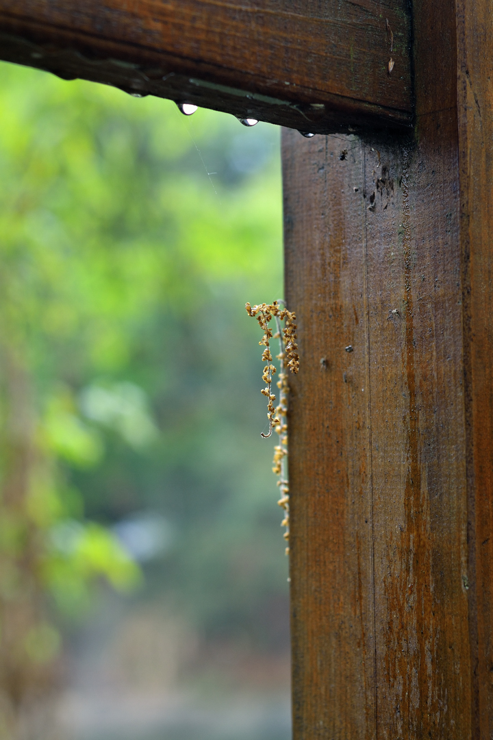 DSC_3790.jpg