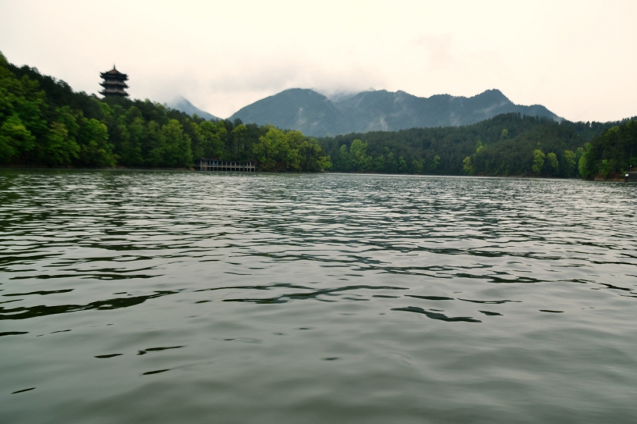 DSC_3803.jpg