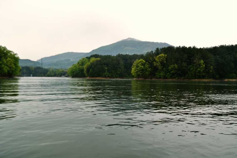 DSC_3809.jpg