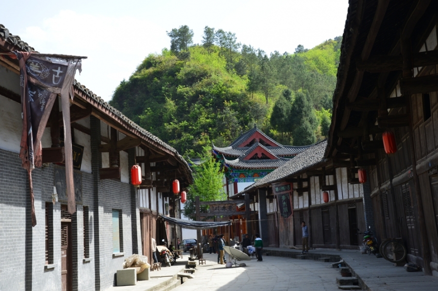 DSC_1372.JPG