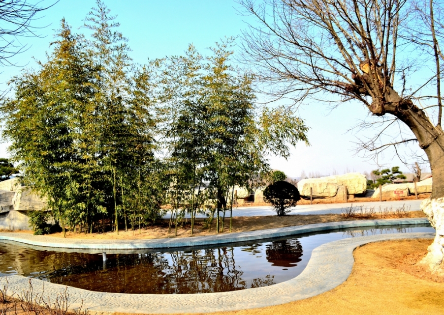 DSC_3476.jpg