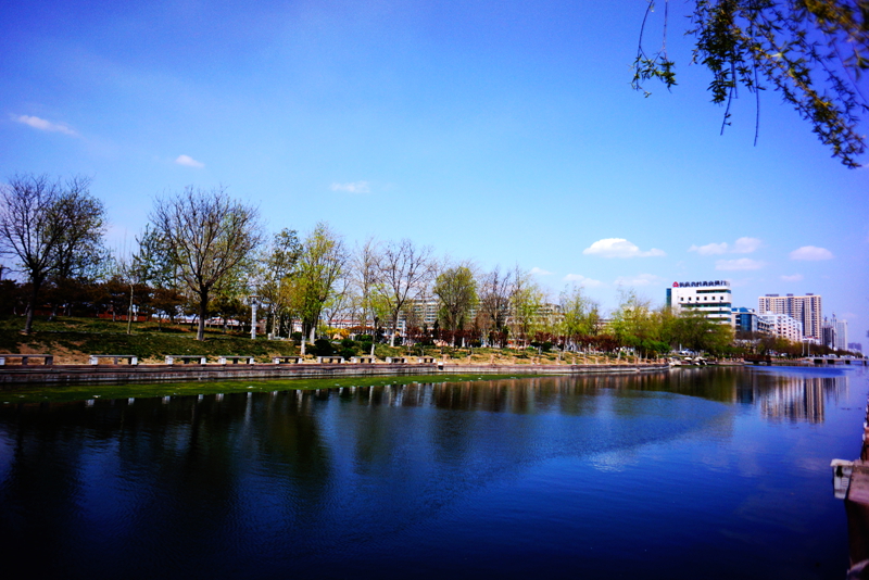DSC06079_副本.jpg