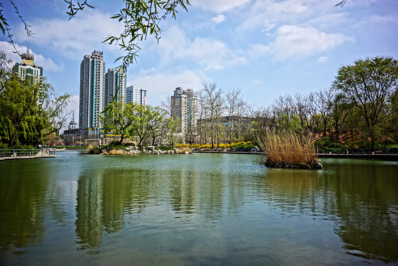 DSC06167_副本.jpg