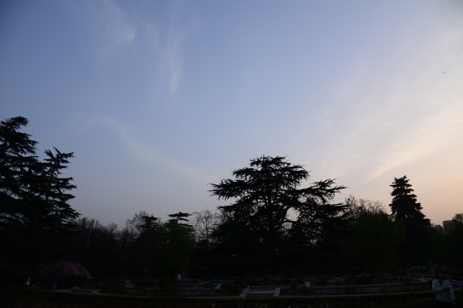 DSC_0519.JPG