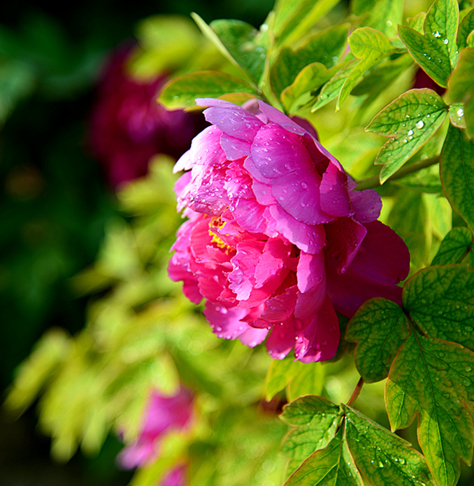 DSC_1414_副本.jpg
