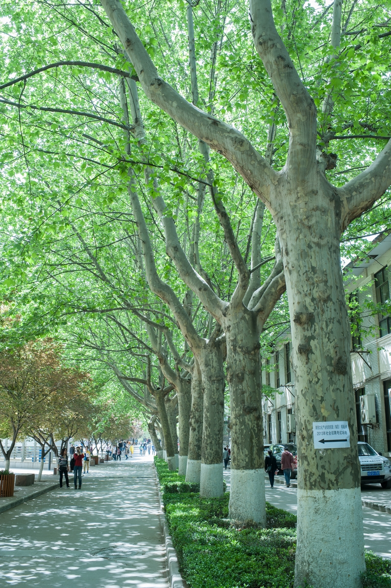 20130414-DSC_9981.jpg