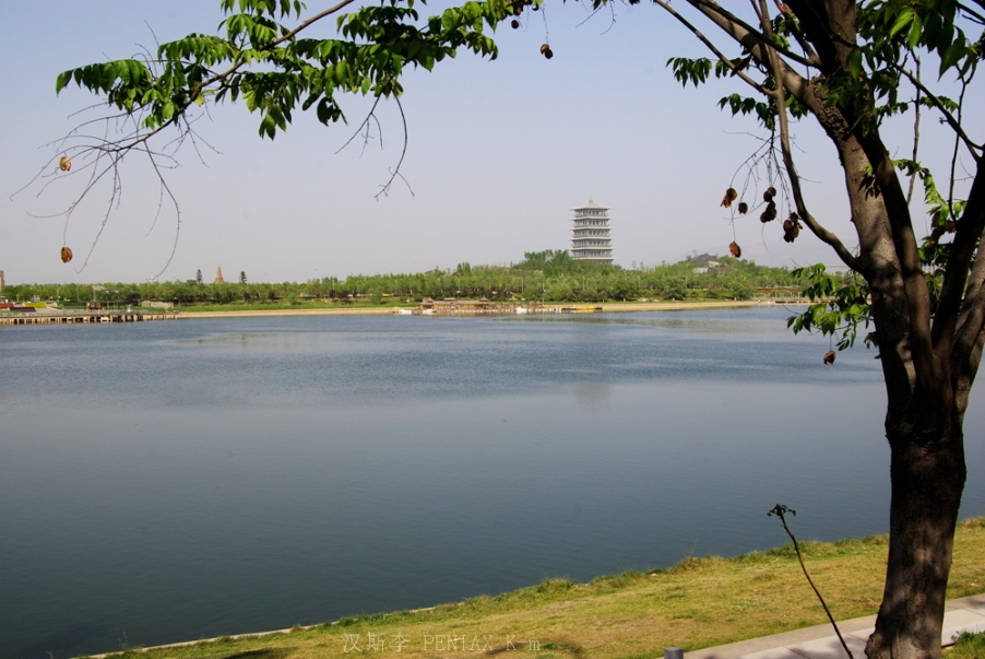 IMGP3616.jpg