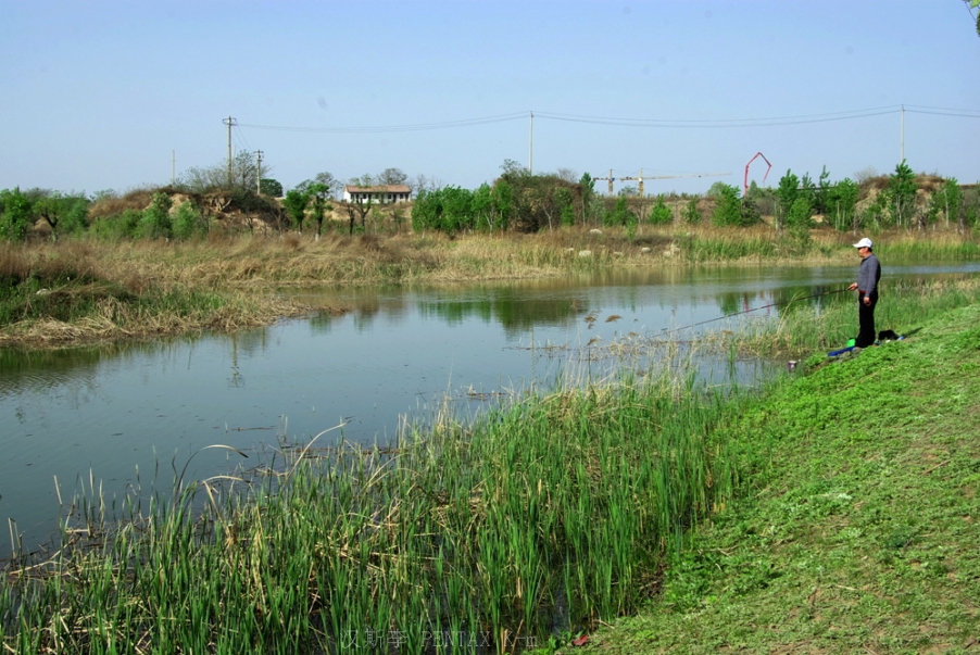 IMGP3620.jpg