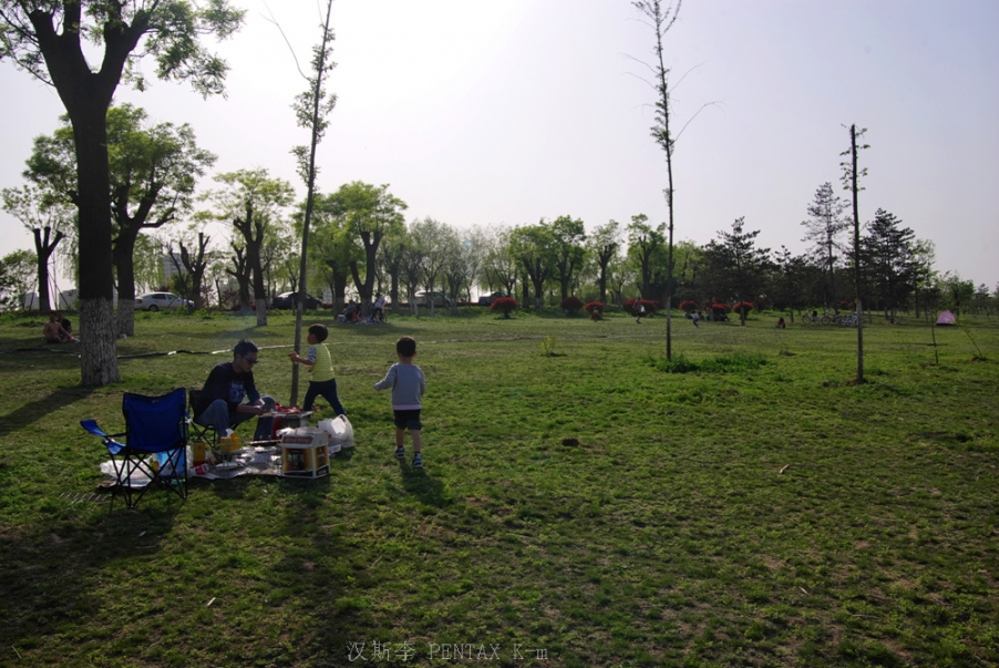 IMGP3622.jpg