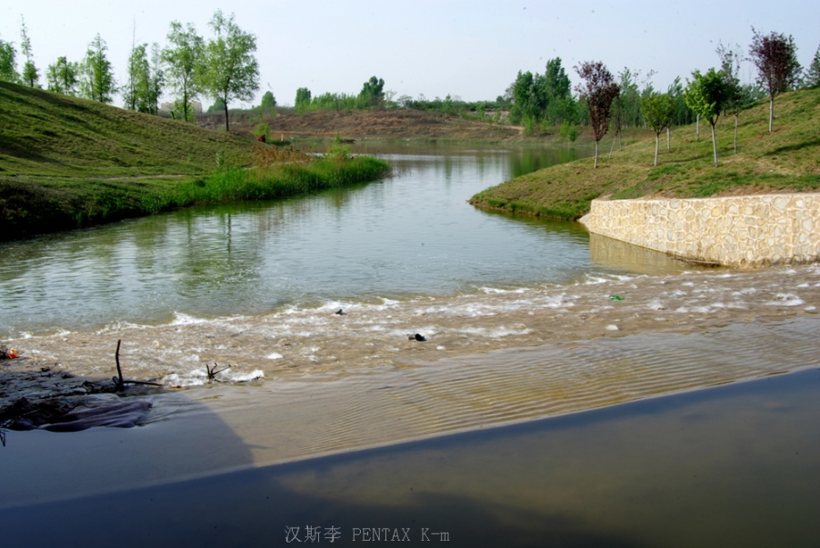 IMGP3628.jpg