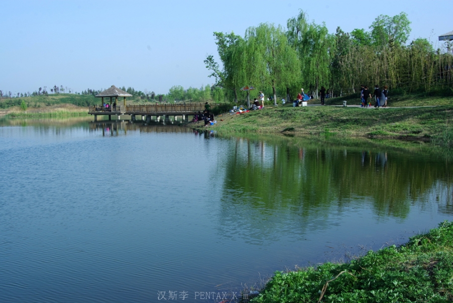 IMGP3644.jpg