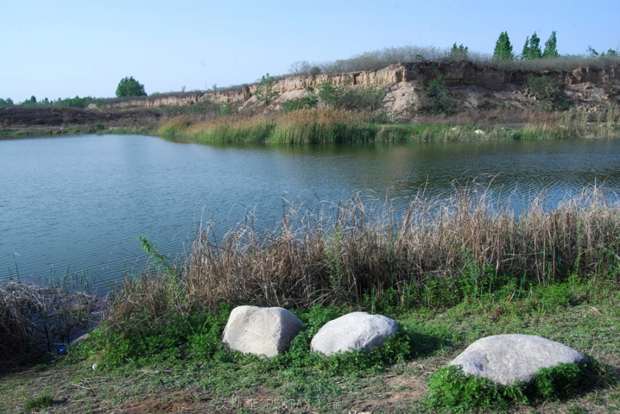 IMGP3645.jpg