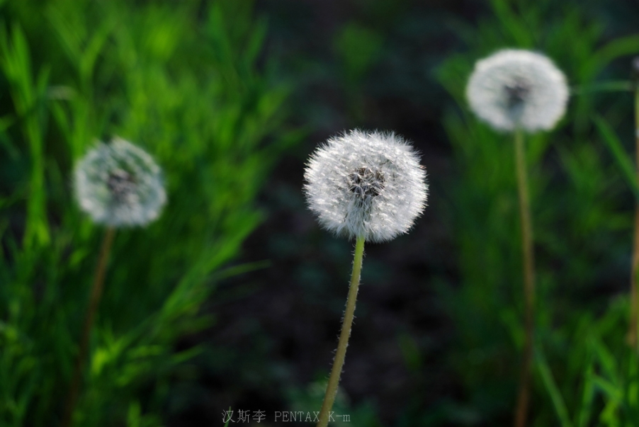 IMGP3670.jpg