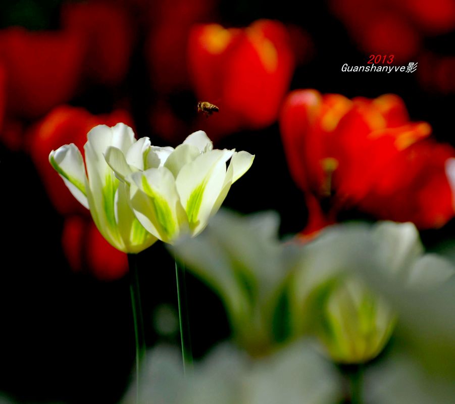 nEO_IMG_IMGP8142_副本.jpg