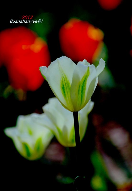 nEO_IMG_IMGP8141_副本.jpg