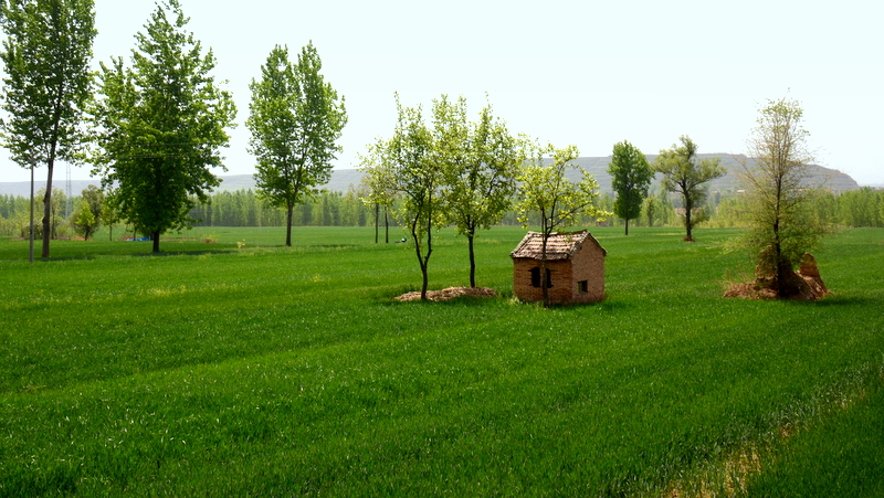 DSC_2990.JPG
