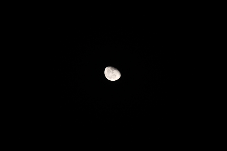 IMG_0082.JPG