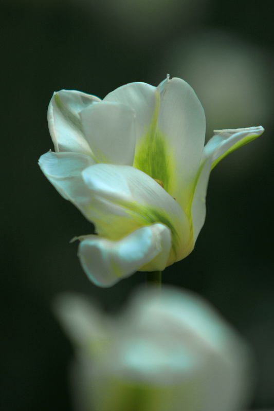 DPP_0020.JPG
