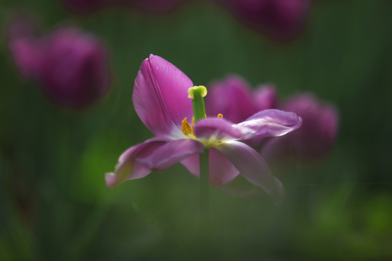 DPP_0032.JPG