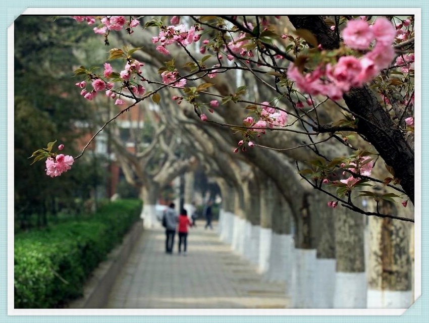 IMG_1539_副本1.jpg
