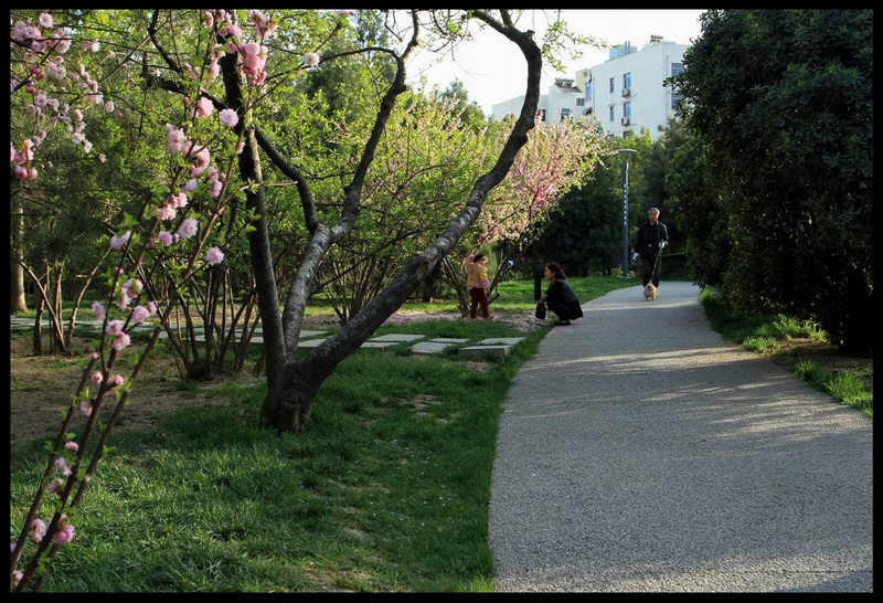 压缩。 (8).jpg