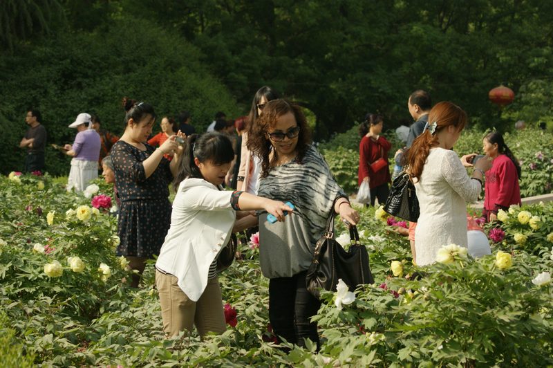 DSC02013.JPG