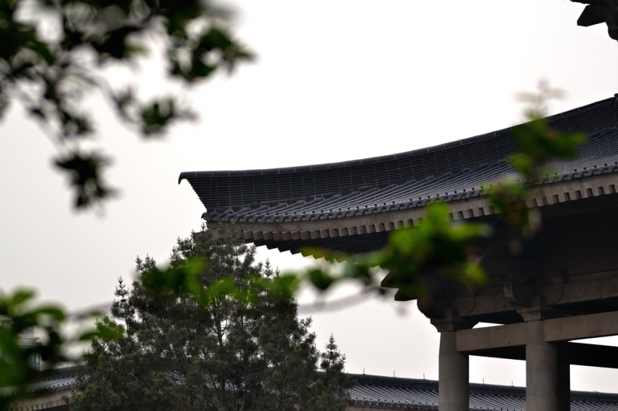 DSC_3441.jpg