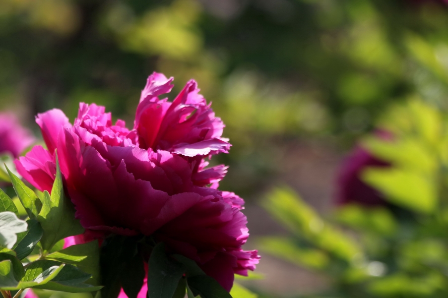 IMG_9182A_调整大小.jpg