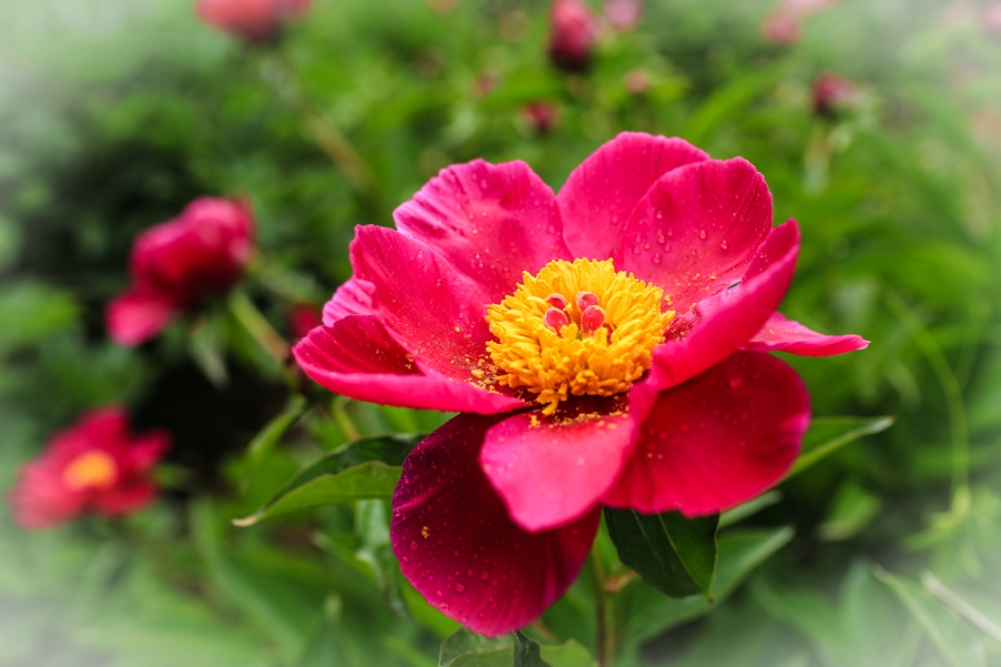 20130420-QG2A0154.jpg