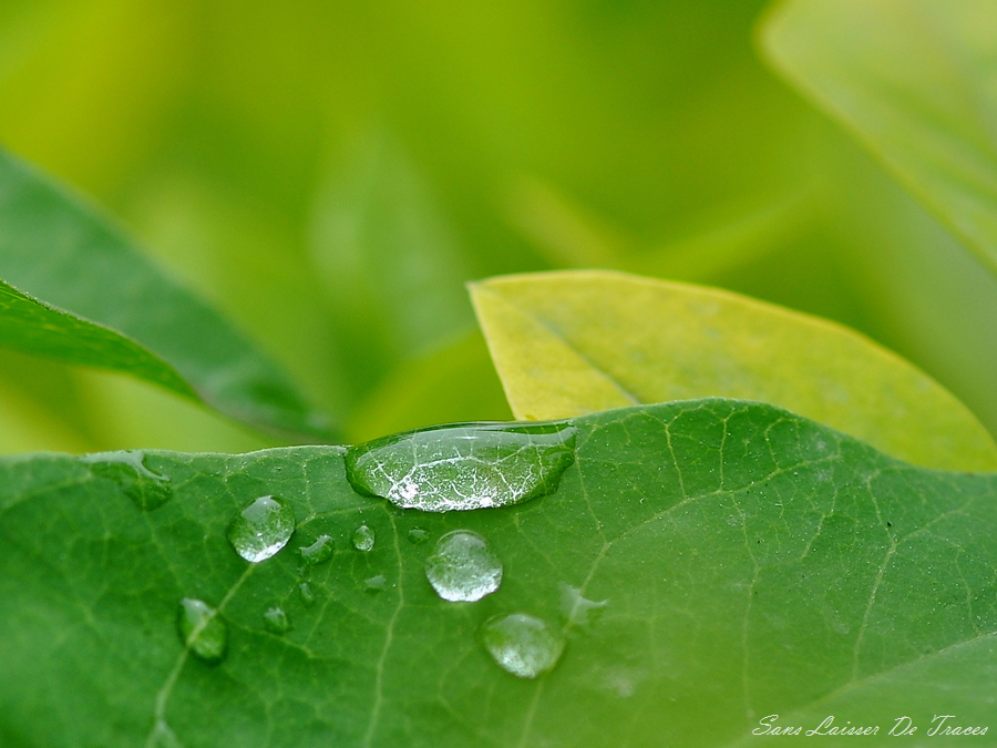DSC_1097_副本.jpg